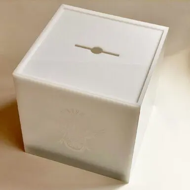 Caixa para votação 2