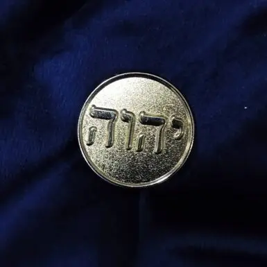 17 pin